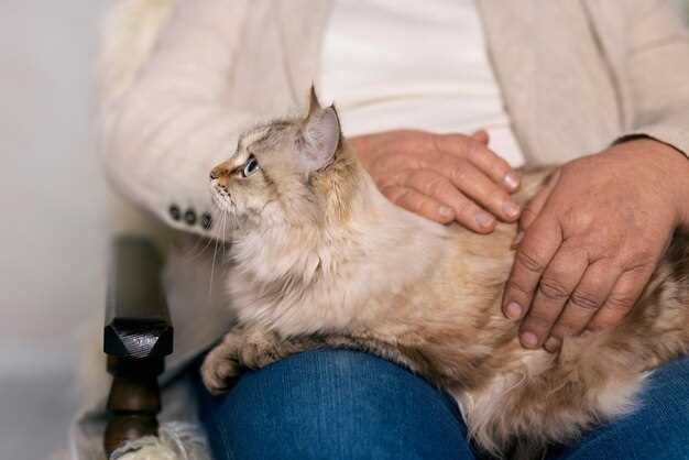 Dosage Guidelines for Cats