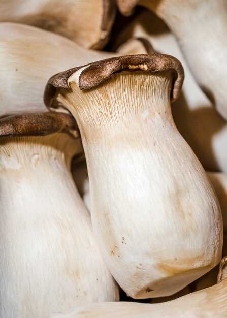 Azithromycin and shrooms