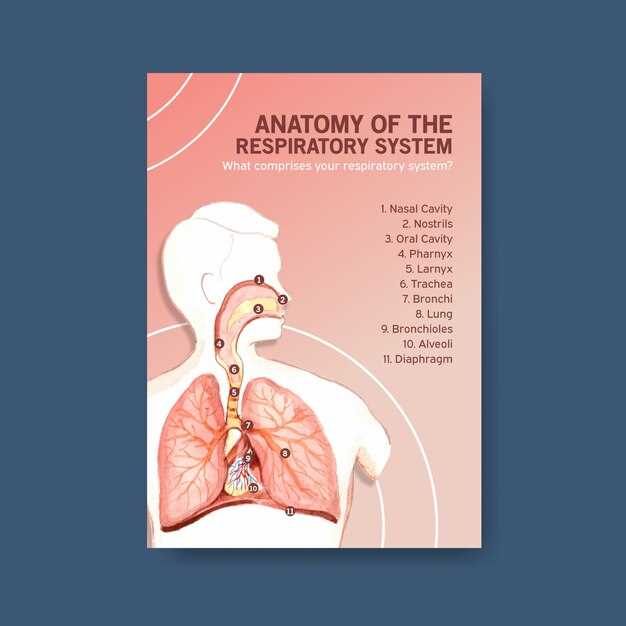 Azithromycin for airway inflammation