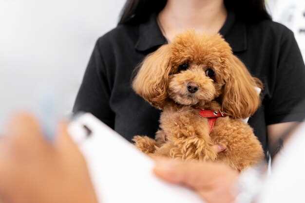 Azithromycin side effects in puppies