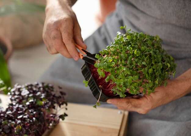 Azithromycin to treat gardnerella