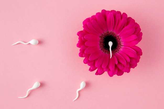 Does azithromycin affect ovulation
